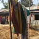 Sesame plants and handmade quilts dry in a small village on the outskirts of Barpeta, Assam.